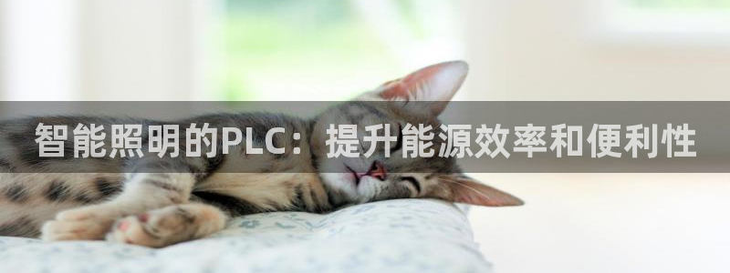 云顶国际物流电话