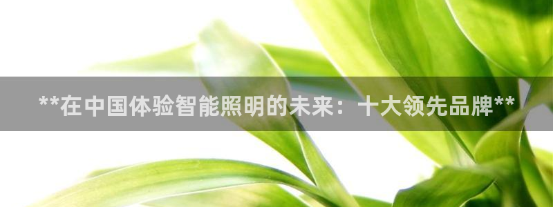 云顶国际大酒店老板
