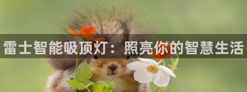 云顶国际服什么时候更新s10.5