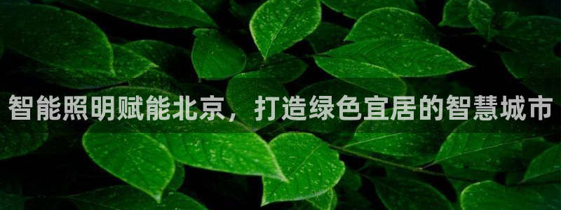 2020云顶