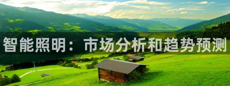 云顶国际服官网