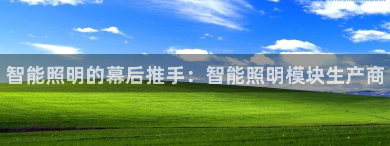 云顶国际酒店老板简介