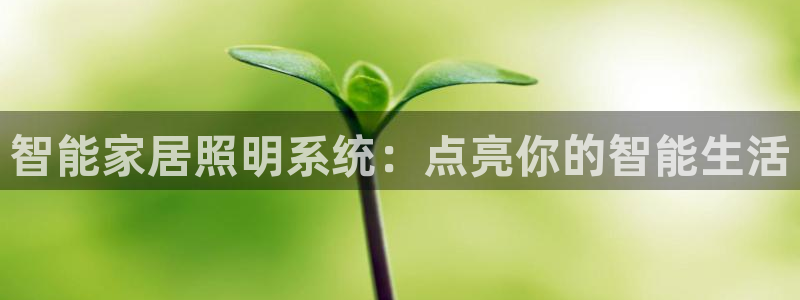 云顶集团中国区