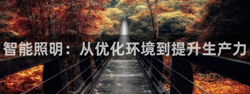 云顶app官网