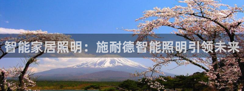 云顶集团有限公司简介资料