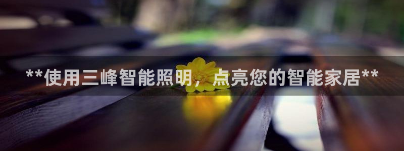 云顶集团rt电子游戏