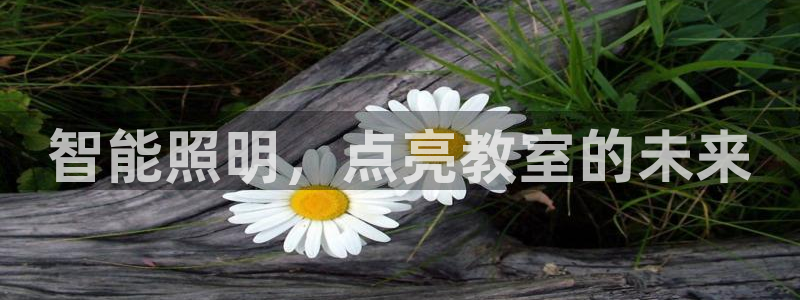 云顶国际提款不到账