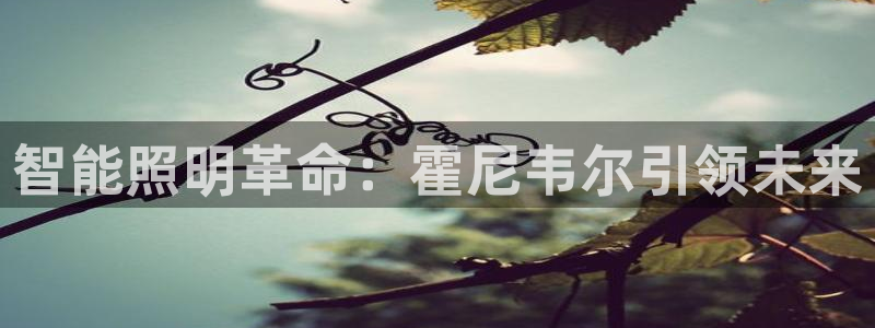 云顶国际yun588