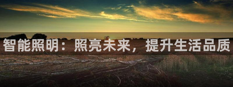 云顶网站是多少
