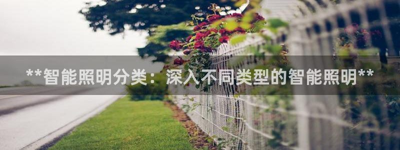 2020云顶