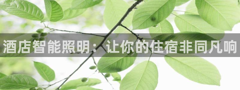 云顶国际服下载