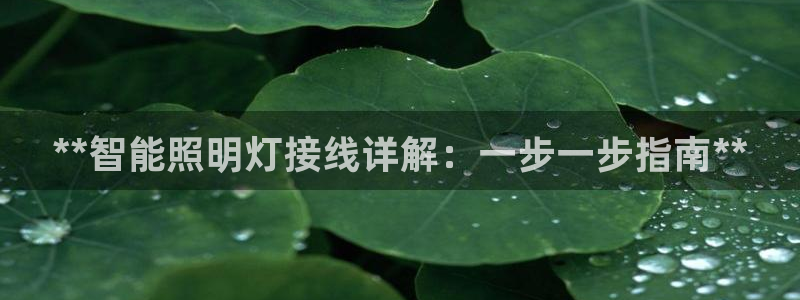 云顶国际二手房出售信息