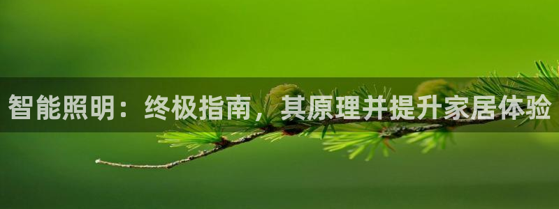 云顶国际服什么时候更新s9