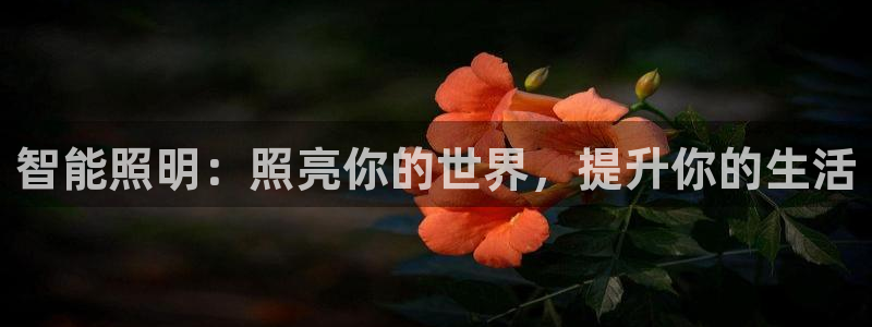 云顶国际电话号码