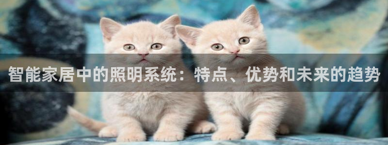 云顶国际城手机网址