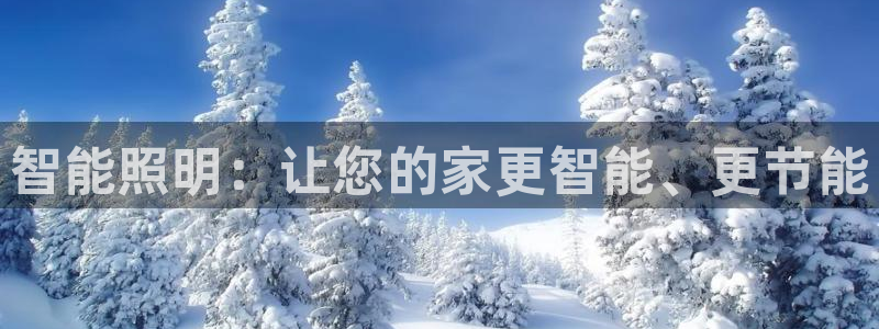 云顶国际服怎么更新