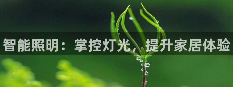 云顶国际停车费多少钱