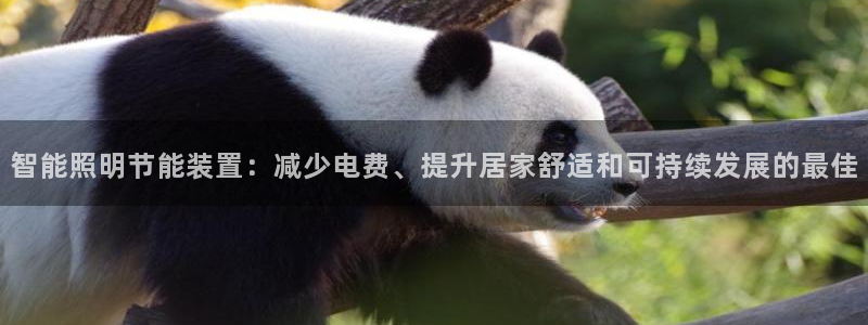 手游云顶国际服下载