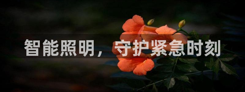 2020云顶