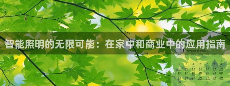 云顶集团有限公司简介图片
