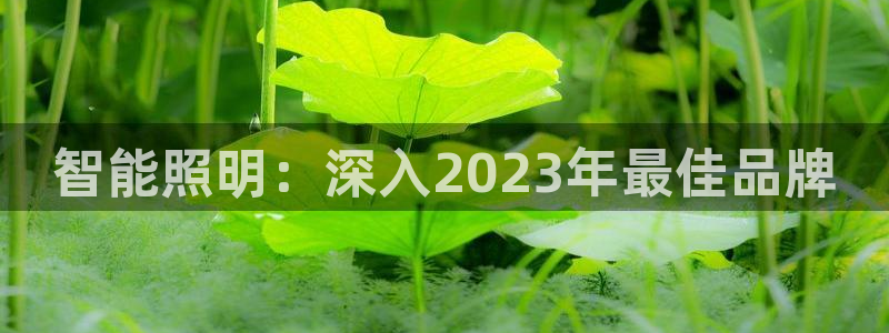 云顶国际公馆房价