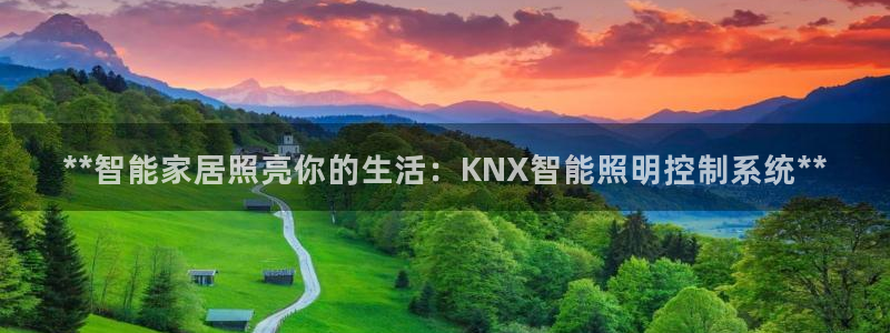 成山路800号(云顶国际商业广场a座101)电话