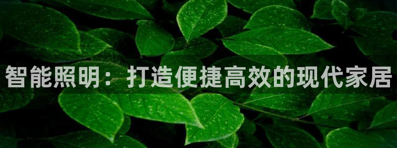 yd2333云顶电子游戏网址多少呢?