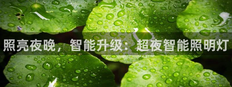云顶的网址是多少