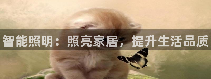 云顶国际集团io