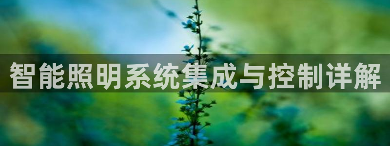 yd云顶国际