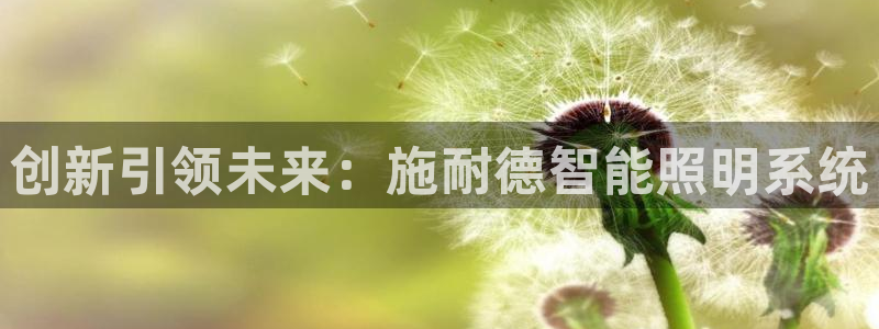 云顶国际平台游戏