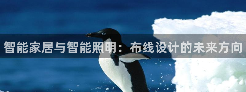 云顶国际晟荣协会高峰