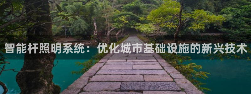 云顶国际官网官方下载：智能杆照明系统：优