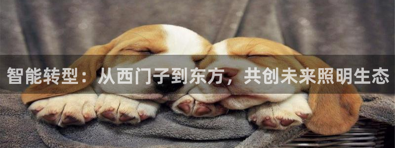 云顶集团林志华简介