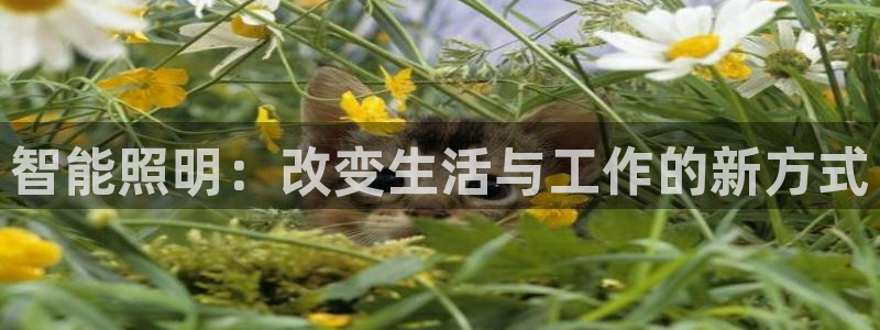 云顶国际公馆物业电话
