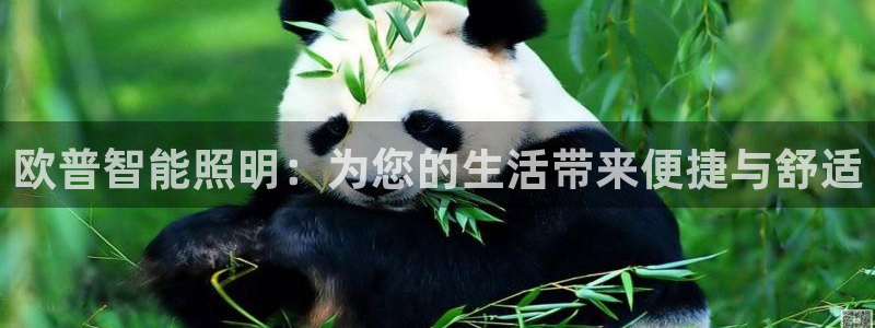 云顶国际提现不到账什么原因