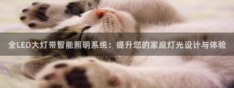 云顶国际是合法的吗