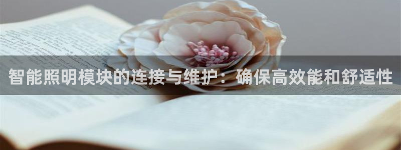 云顶国际电子游戏怎么玩