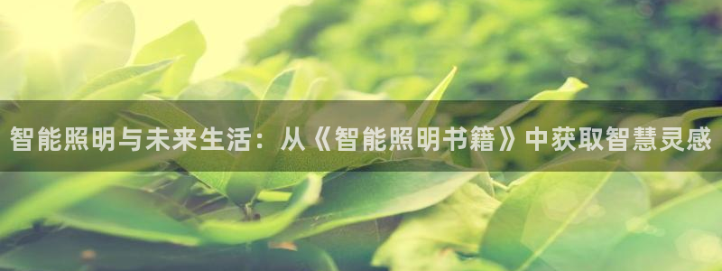 云顶国际房地产有限公司