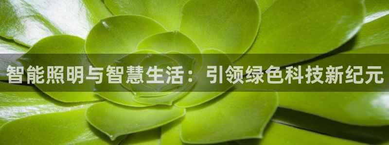 云顶国际服什么时候更新s9