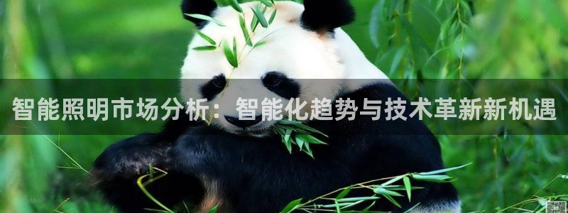 4188云顶集团下载