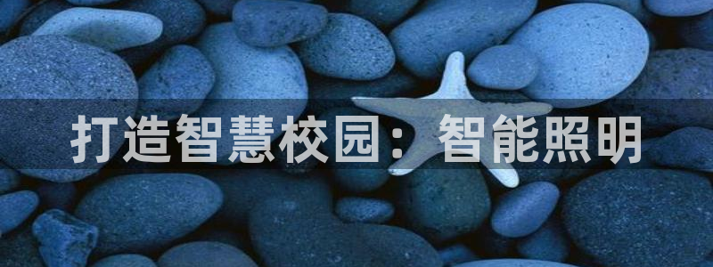 yd12300云顶线路