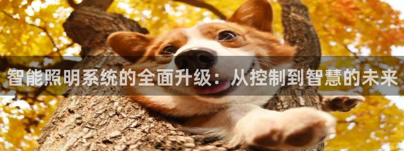 云顶集团是真实的吗