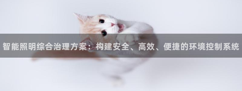 云顶国际部一年学费