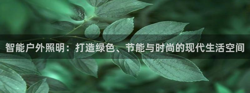 云顶国际大酒店电话