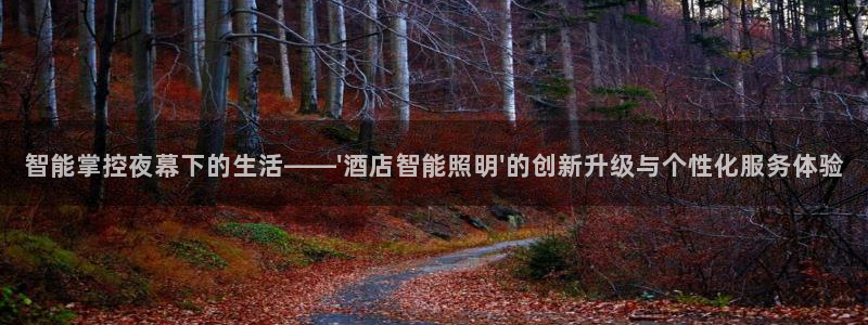 云顶国际服s9更新时间：智能掌控夜幕下的