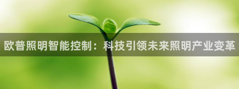 云顶yd官网2021