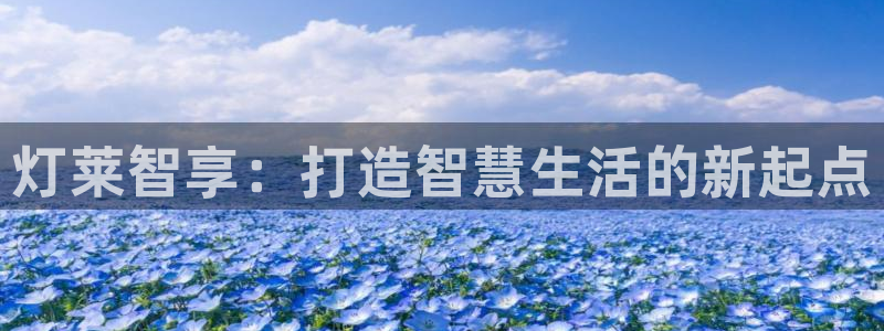 云顶国际集团 深圳