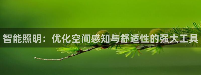 云顶集团简介概况