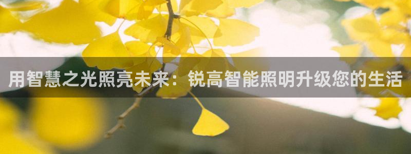 云顶集团进入官网